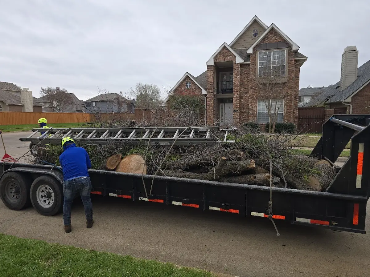 Expert Lot Clearing with proper safety equipment in Bolton